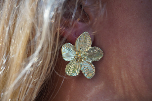 Boucle d’oreille